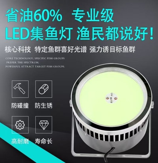 肇庆集鱼灯